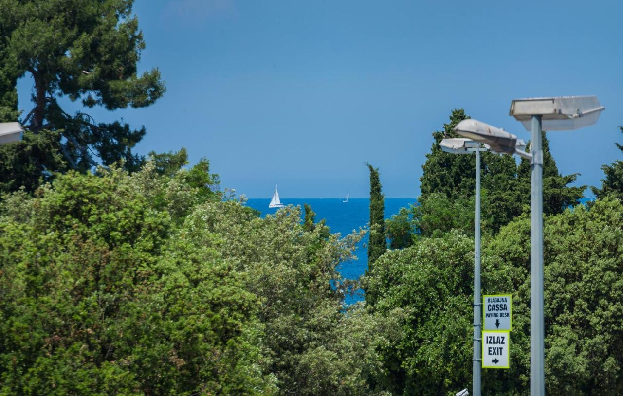 Val Di Sole Διαμέρισμα Πόρετς Εξωτερικό φωτογραφία